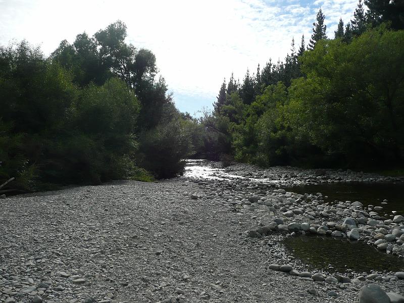 P1050140.JPG