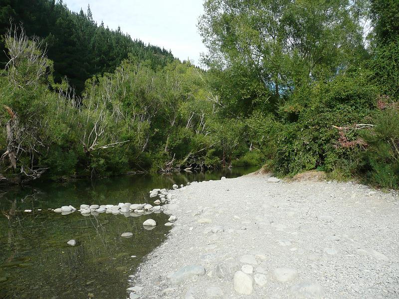 P1050141.JPG