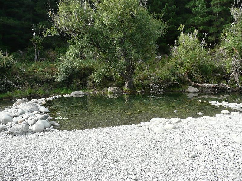 P1050142.JPG