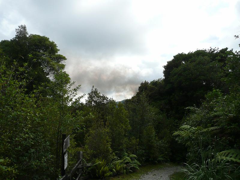 P1050209.JPG