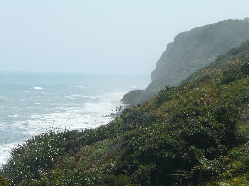 P1050225.JPG