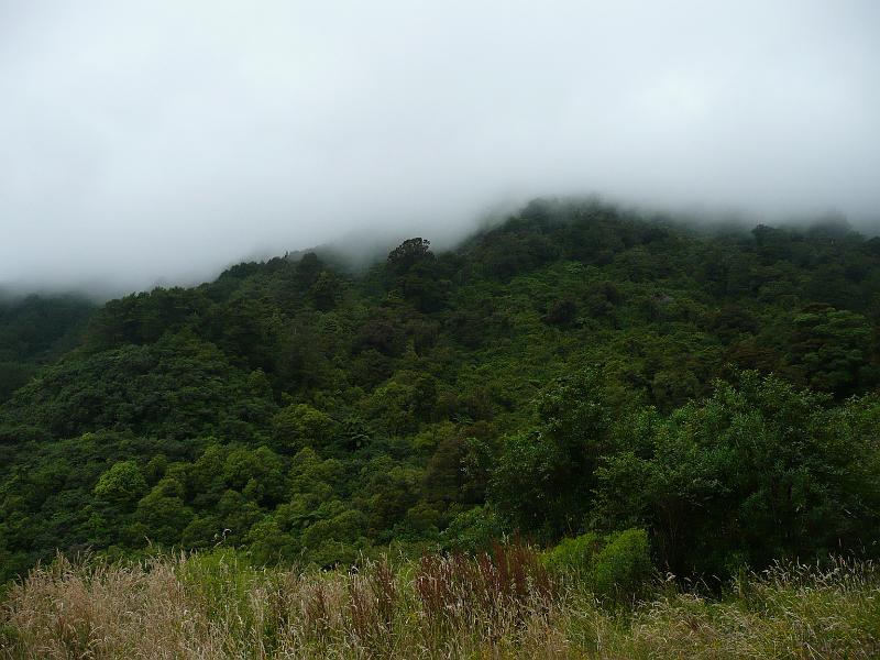 P1050246.JPG