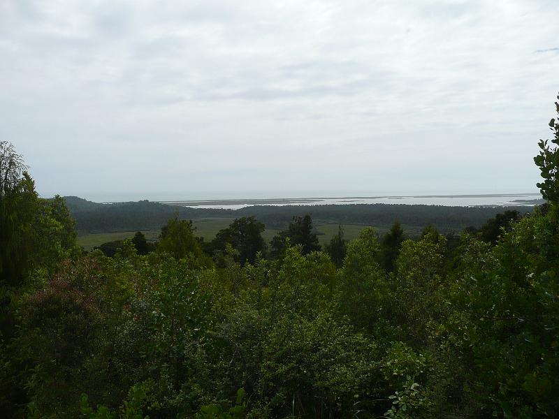P1050256.JPG