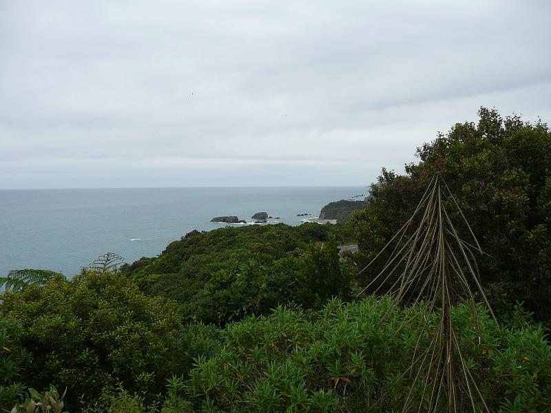 P1050282.JPG