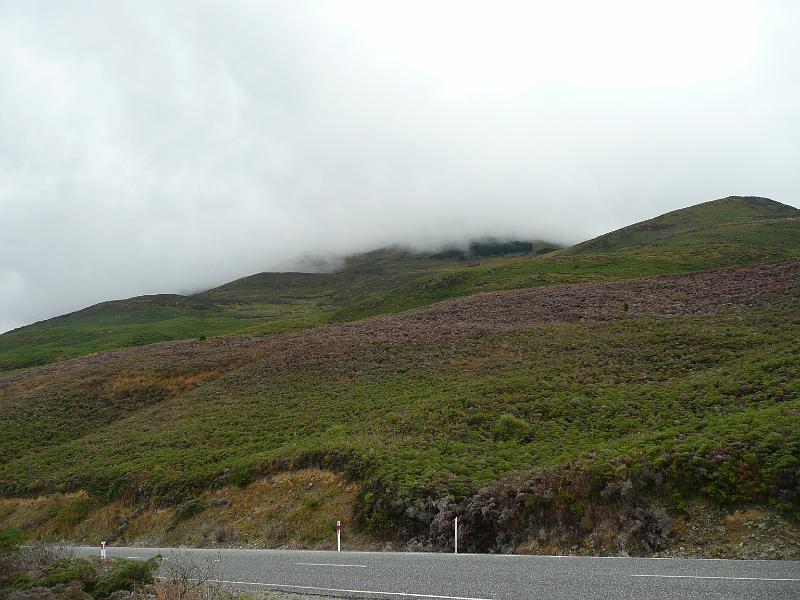 P1050305.JPG
