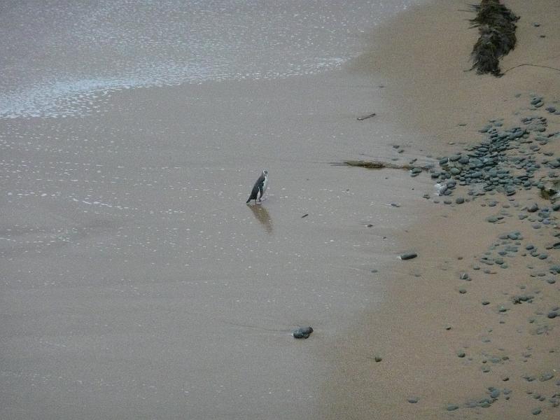 P1050326.JPG
