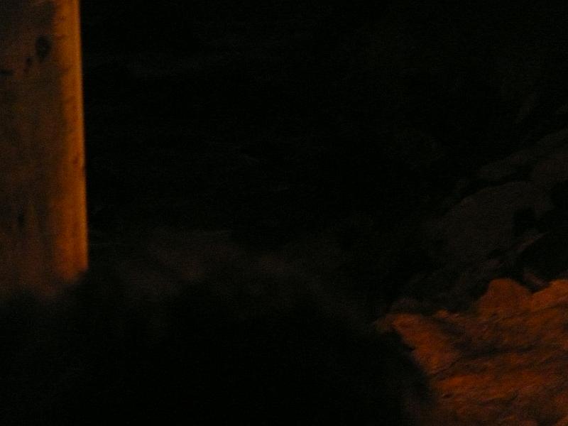 P1050329.JPG