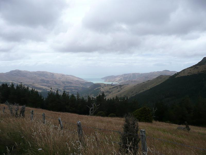 P1050342.JPG
