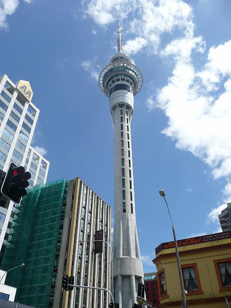 P1050376.jpg