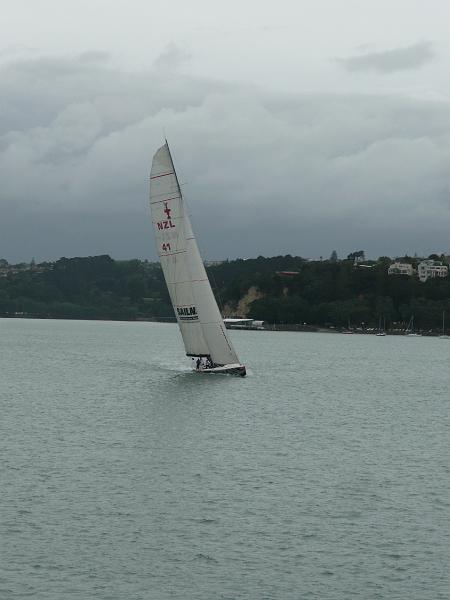 P1050439.jpg