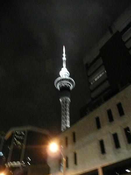 P1050478.jpg