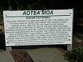 P1050484