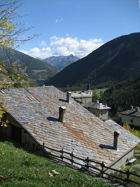 IMG_6537.jpg