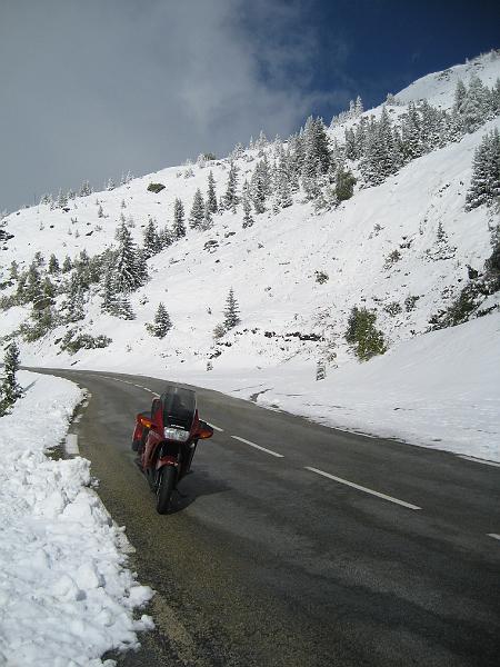 IMG_6573.jpg
