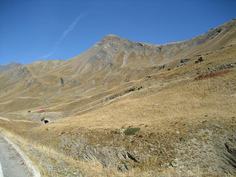 IMG_6862.JPG