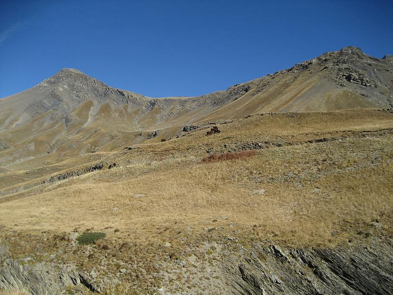 IMG_6863.JPG