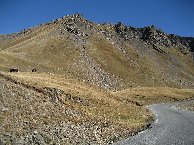 IMG_6865.JPG