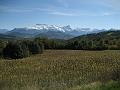 IMG_6593