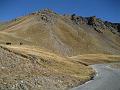 IMG_6865