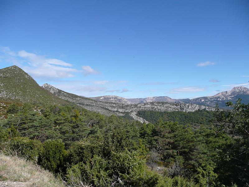P1030540.JPG