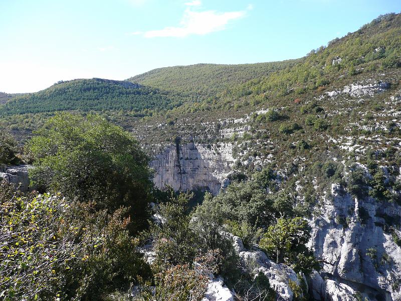 P1030549.JPG